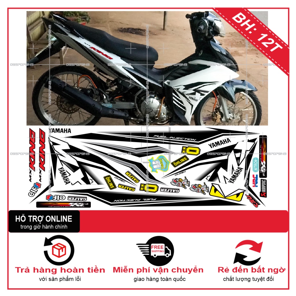 TEM RỜI EX 2011 MX KING -- SHIN DECAL 2