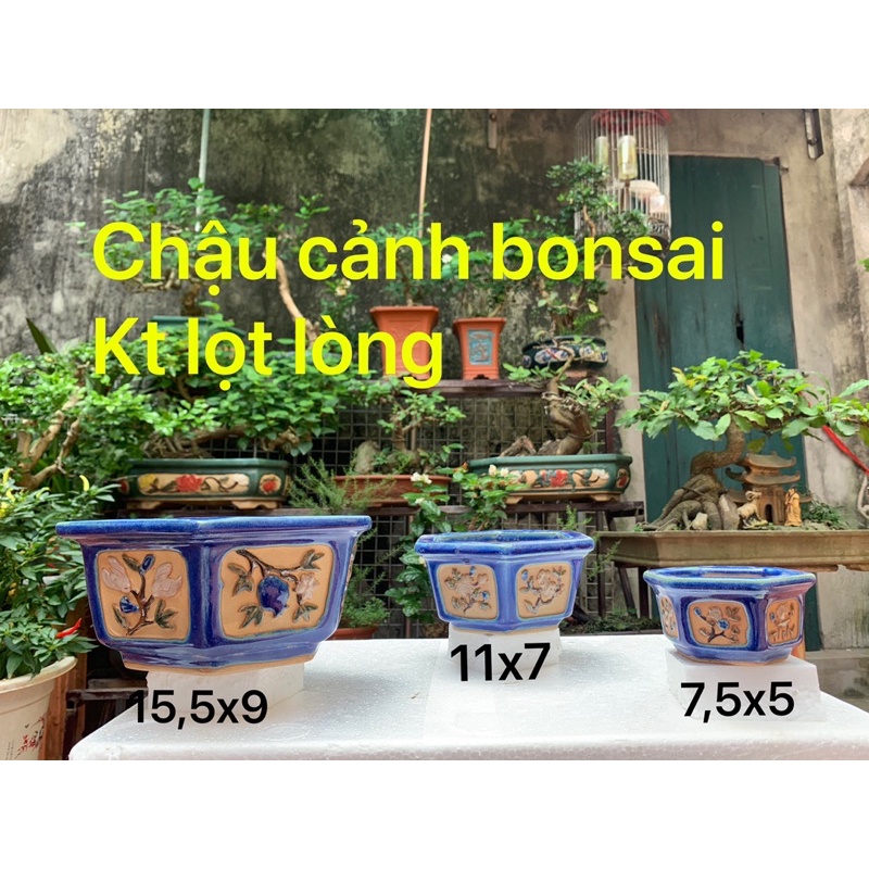 Chậu bonsai lục giác Đồng Nai- Chậu trồng cây bonsai - chậu trồng sen đá - chậu cảnh bonsai