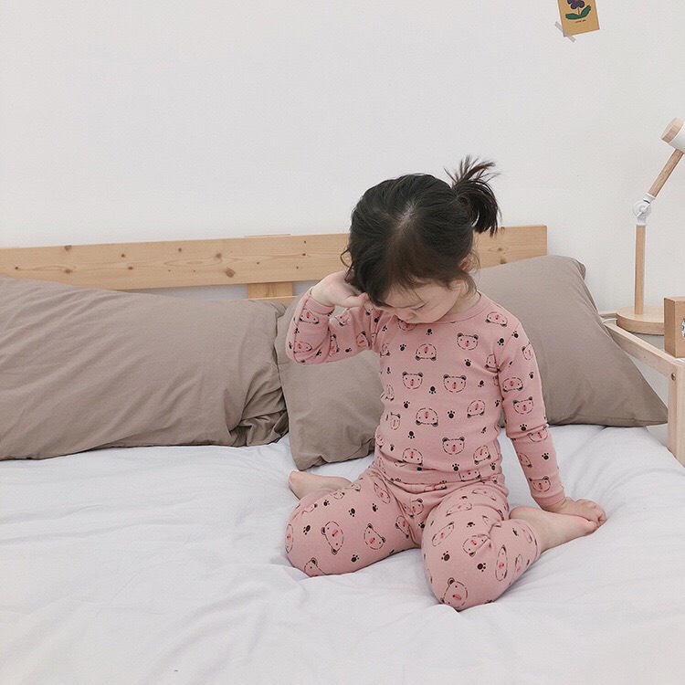 Bộ thu đông dài tay cho bé AMBB KIDS vải cotton mềm đẹp - Hàng Quảng Châu Cao Cấp - BẢNG MÀU 2