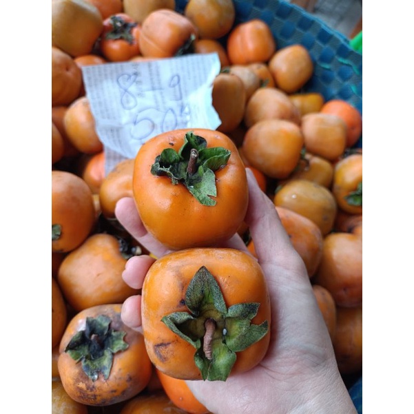 Móc treo Hồng treo gió combo 15 móc.