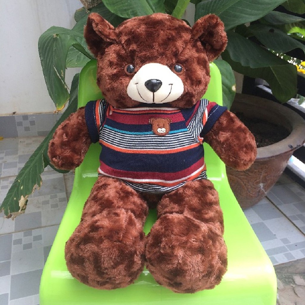 Gấu Bông Teddy khổ vải 50cm màu nâu