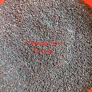 Hạt mần ri hoa vàng(hạt cải dầu) kích lửa cho cu gáy, bóng long...