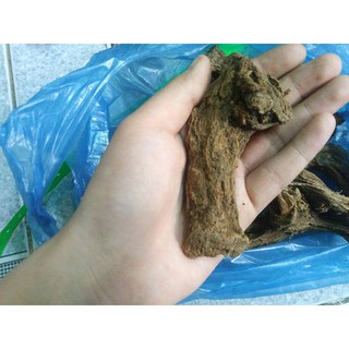 Mộc Hương bắc