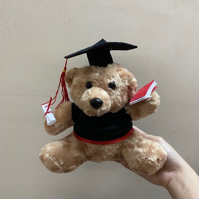Gấu bông tốt nghiệp cử nhân - hình thật