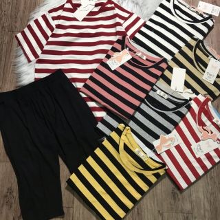 Bộ cotton mặc nhà