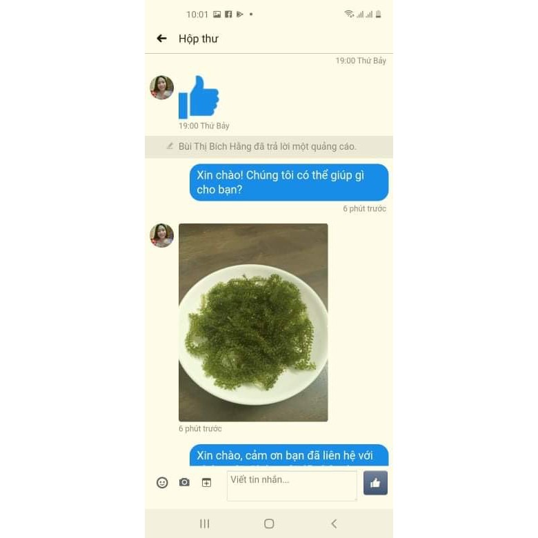 1kg chia 10 bịch rong nho tách nước thượng hạng đạt tiêu chuẩn xuất khẩu