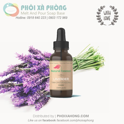 Tinh dầu Hoa Oải Hương (Lavender Essential Oil) | 10-30ml