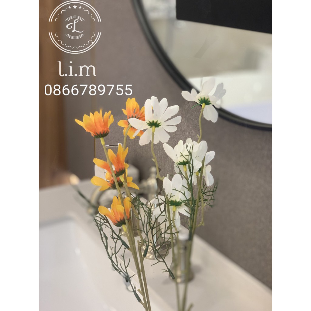 Hoa cúc họa mi giả  Daisy lụa cao cấp, ẢNH THẬT, chụp ảnh decor