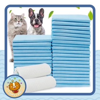 Lót chuồng, lót khay vệ sinh cho thú cưng 🐶🐱