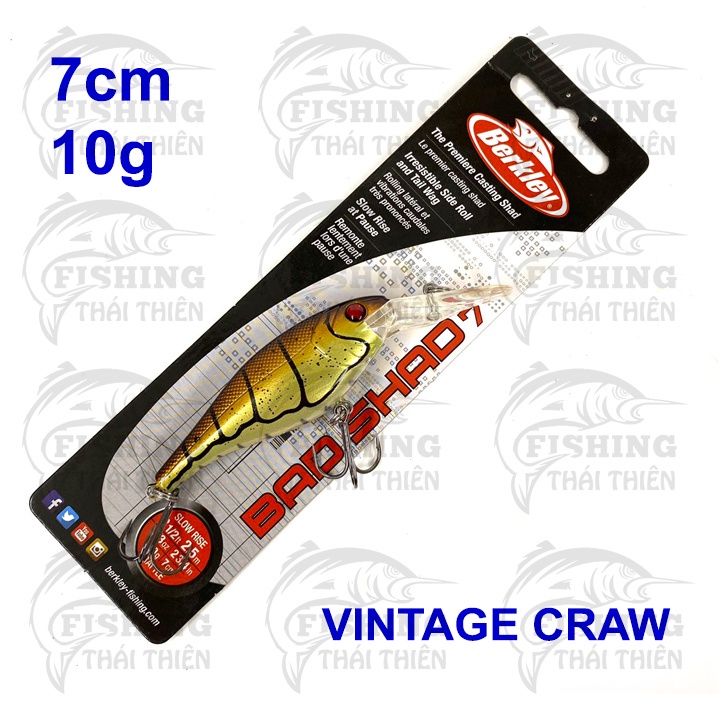 Mồi Giả Cá Cứng Berkley Bad Shad 7 Dài 7cm Nặng 10g Mẫu Mới 4 Màu Siêu Nhạy Dùng Câu Sông Biển