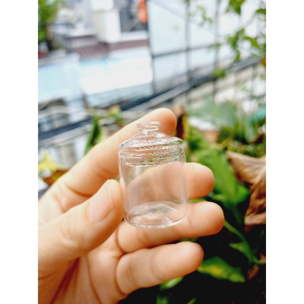 Hủ thủy tinh Thấp rộng- Hủ Tròn Có Nắp cho mô hình dollhouse , miniature