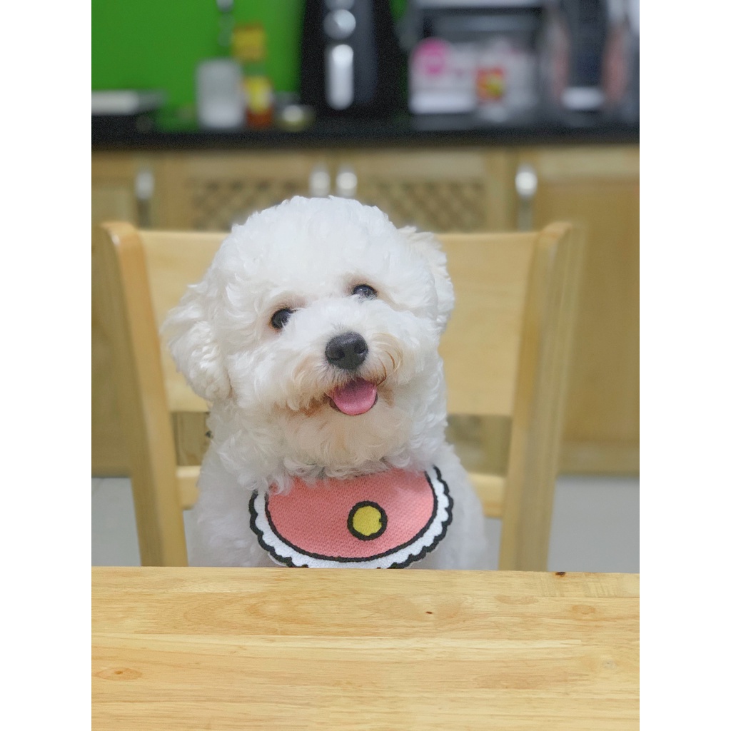 Yếm đeo cổ cho chó,mèo  Vòng cổ dễ thương cho thú cưng  Yếm ăn phong cách Hàn Quốc cho chó mèo
