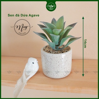 Cây giả,Sen đá giả kèm chậu sứ vân cát