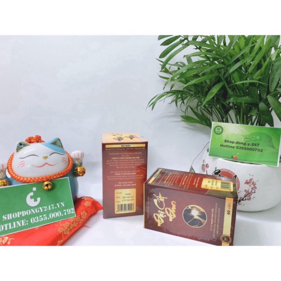 ✅ ĐẠI CỐT ĐAN ❤️ Lựa Chọn Cho Người ĐAU NHỨC XƯƠNG KHỚP