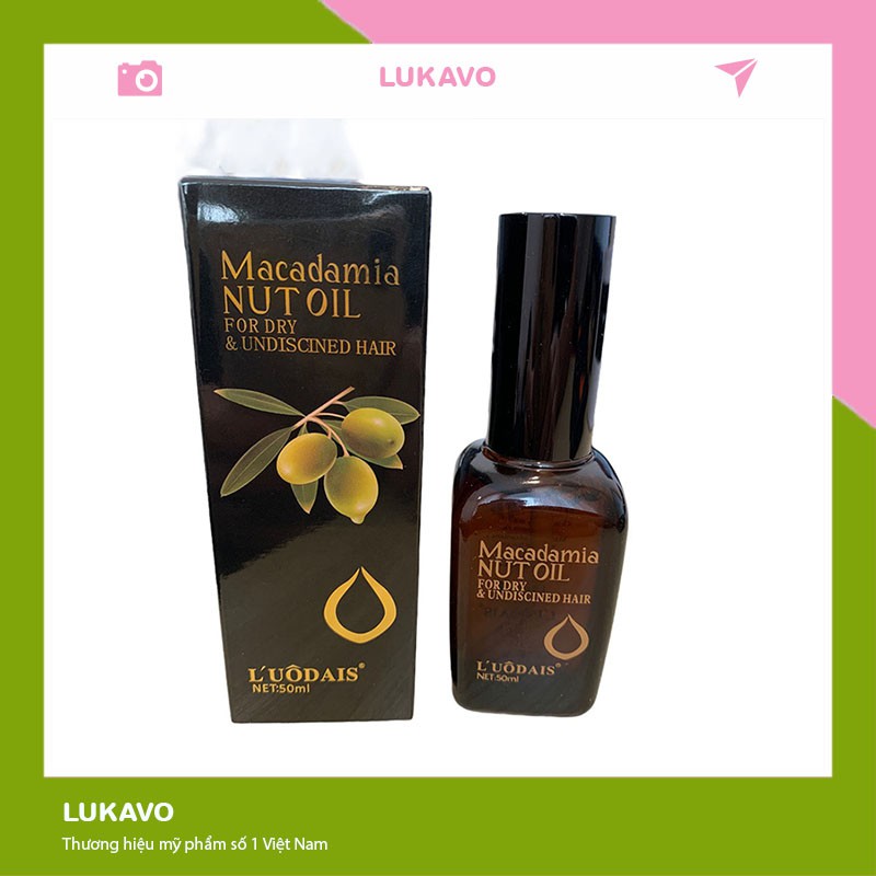 Tinh dầu dưỡng tóc Macadamia 50ml thơm lâu giá rẻ CT45