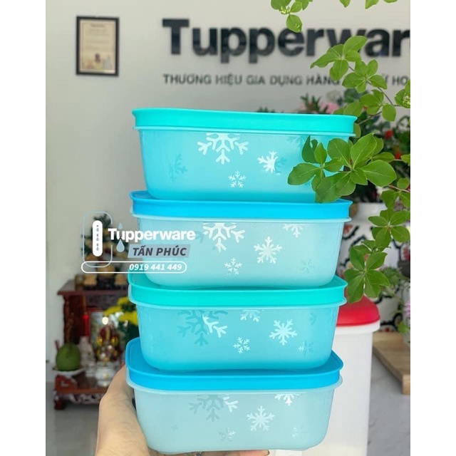 Tupperware - Bán lẻ hộp trữ đông gen 2 giá 120k/1 hộp