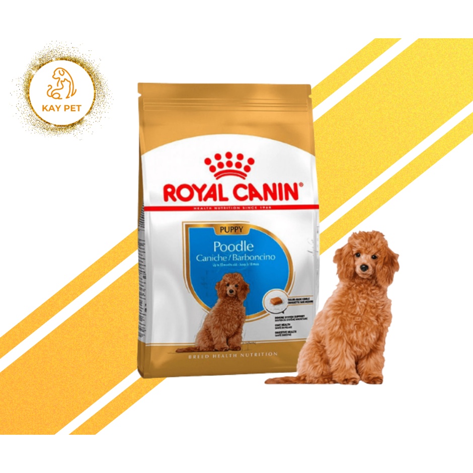 Royal Canin- Thức ăn Poodle Puppy gói nguyên 500g / 1.5kg
