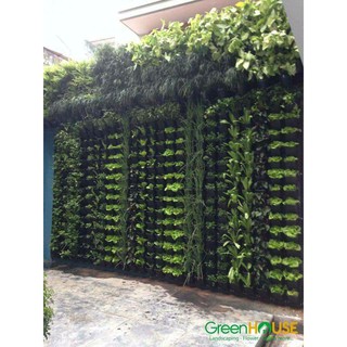 Túi trồng cây
