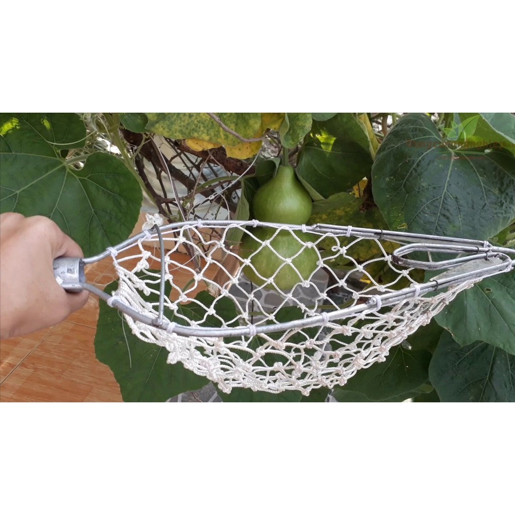LỒNG HÁI TRÁI CÂY TRÊN CAO 2 DAO CẮT CUỐNG - VỢT HÁI TRÁI CÂY GIÚP THU HOẠCH QUẢ TRÊN CAO, KẾT CẤU BỀN ĐẸP