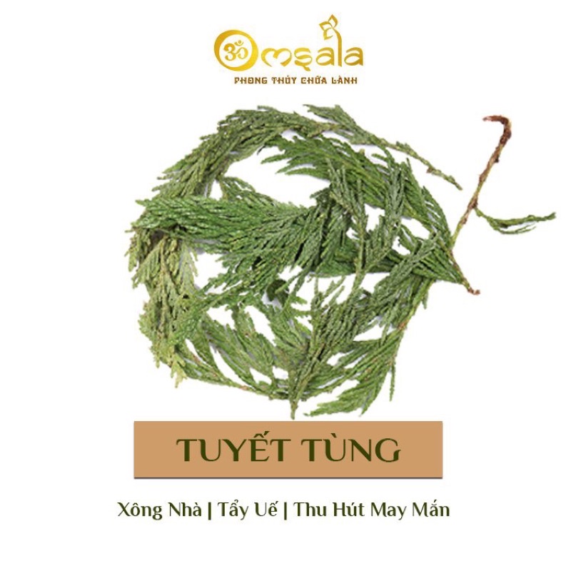 Bộ thảo mộc xông nhà không khói