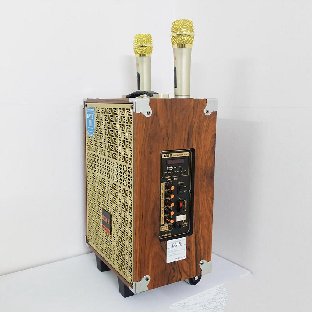 Loa Kẹo Kéo Hát Karaoke Chính Hãng BNIB M8 Bass 20cm, Thiết Kế Vỏ Gỗ Sang Trọng, Âm Thanh Chất Lượng | Bảo hành 12th