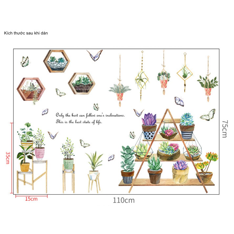 Decal dán tường trang trí - KỆ HOA SEN ĐÁ VÀ CHẬU CÂY TREO SẮC NÉT