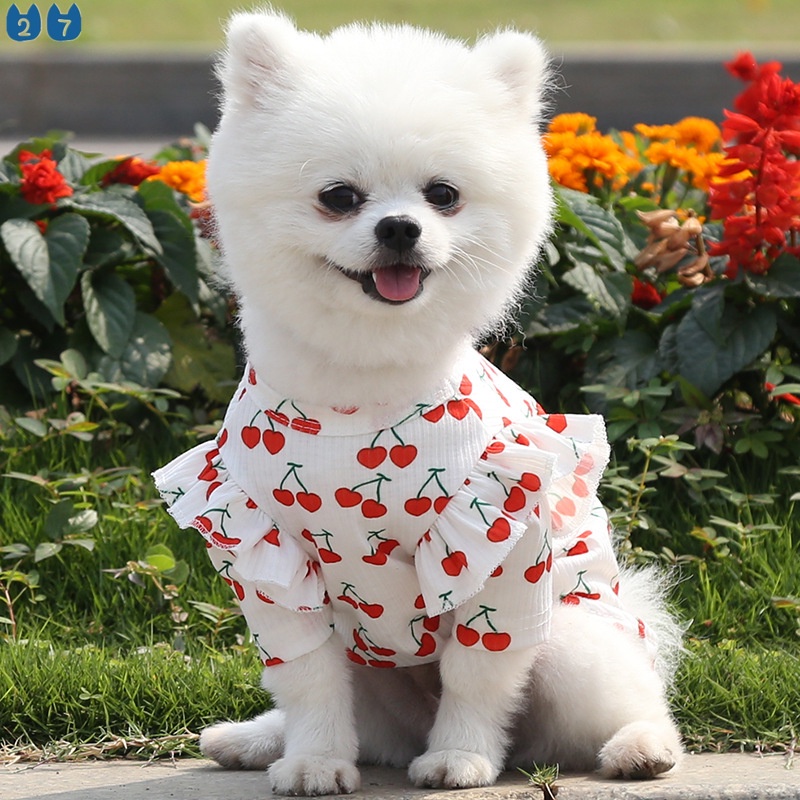 Áo Mềm Mại In Họa Tiết Cherry Thời Trang Xuân Hè Dành Cho Cún Cưng 27 Tuổi