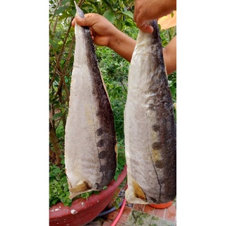 Khô cá Bè đá 1000 gram