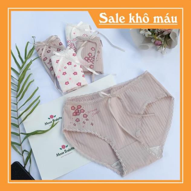 [FreeShip – Sale khô máu] SIZE XL 70KG - Quần lót nữ, quần lót cotton siêu co giãn hoa anh đào 5 hoạt tiết QC125