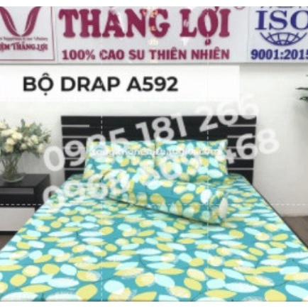 Drap Cotton 100% Thắng Lợi chính hãng Mẫu A592 IN LOGO THẮNG LỢI vệ sinh dễ dàng