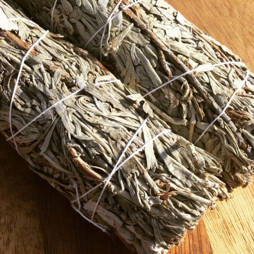 Xô Thơm Xanh (Blue Sage) Thu Hút Tài Lộc & Thanh Tẩy Không Gian l XÔ THƠM THANH TẨY | BigBuy360 - bigbuy360.vn