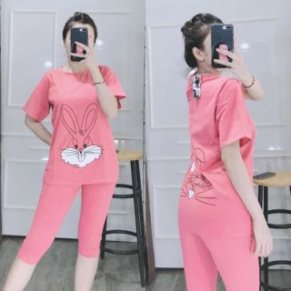 SET BỘ LỬNG THỎ THUN XỊN 4C - ĐỒ BỘ NỮ TASLASHOP