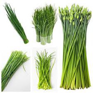 1GR - HẠT GIỐNG CÂY HẸ