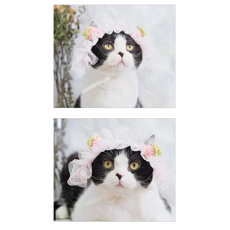 Mũ voan ren trái dâu CAMQUYTSTORE cho mèo