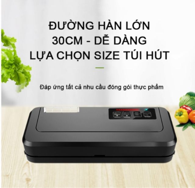 Máy hút chân không P_290 Màu đen