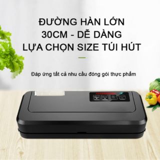 Máy hút chân không P_290(YZ-30)