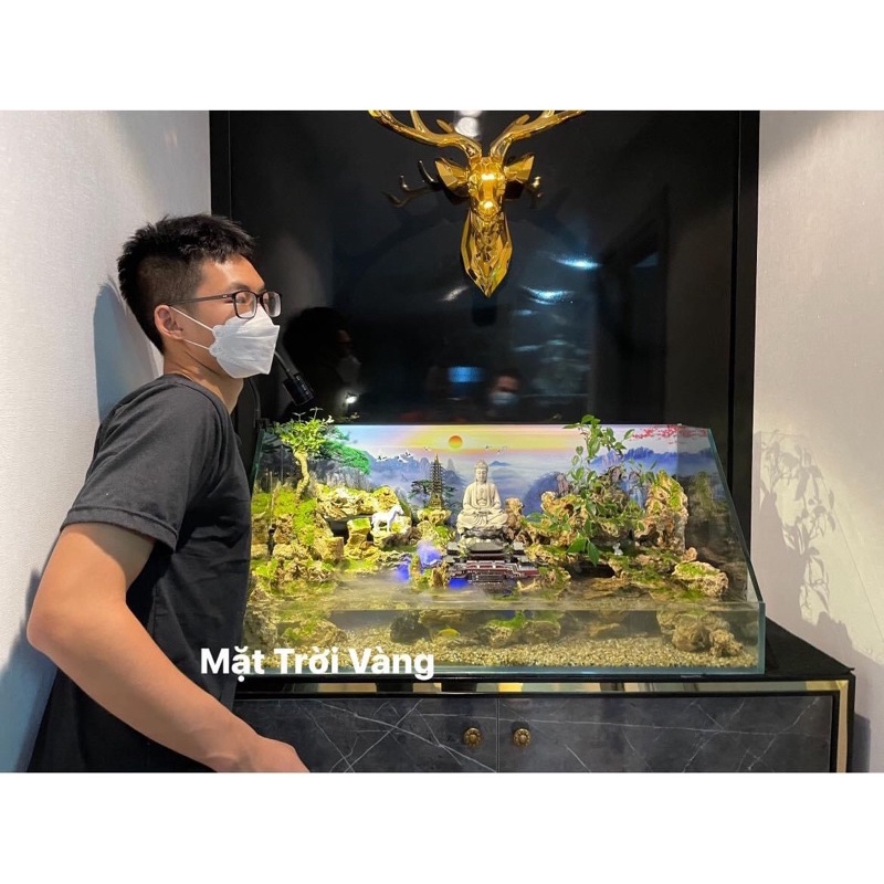 Bộ sưu tập hồ, bể bán cạn tiểu cảnh đa phong cách độc đáo by Kelsey Nguyen