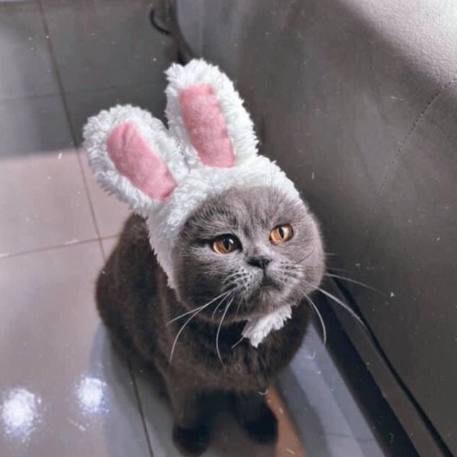 [Đủ Size 1-15kg] Nón mũ tai thỏ cho chó mèo siêu cute