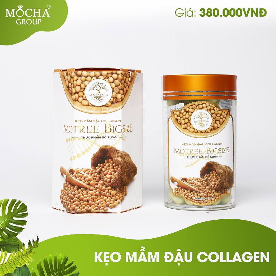 Kẹo mầm đậu nành Mocha Motree Bigsize hộp 230 viên