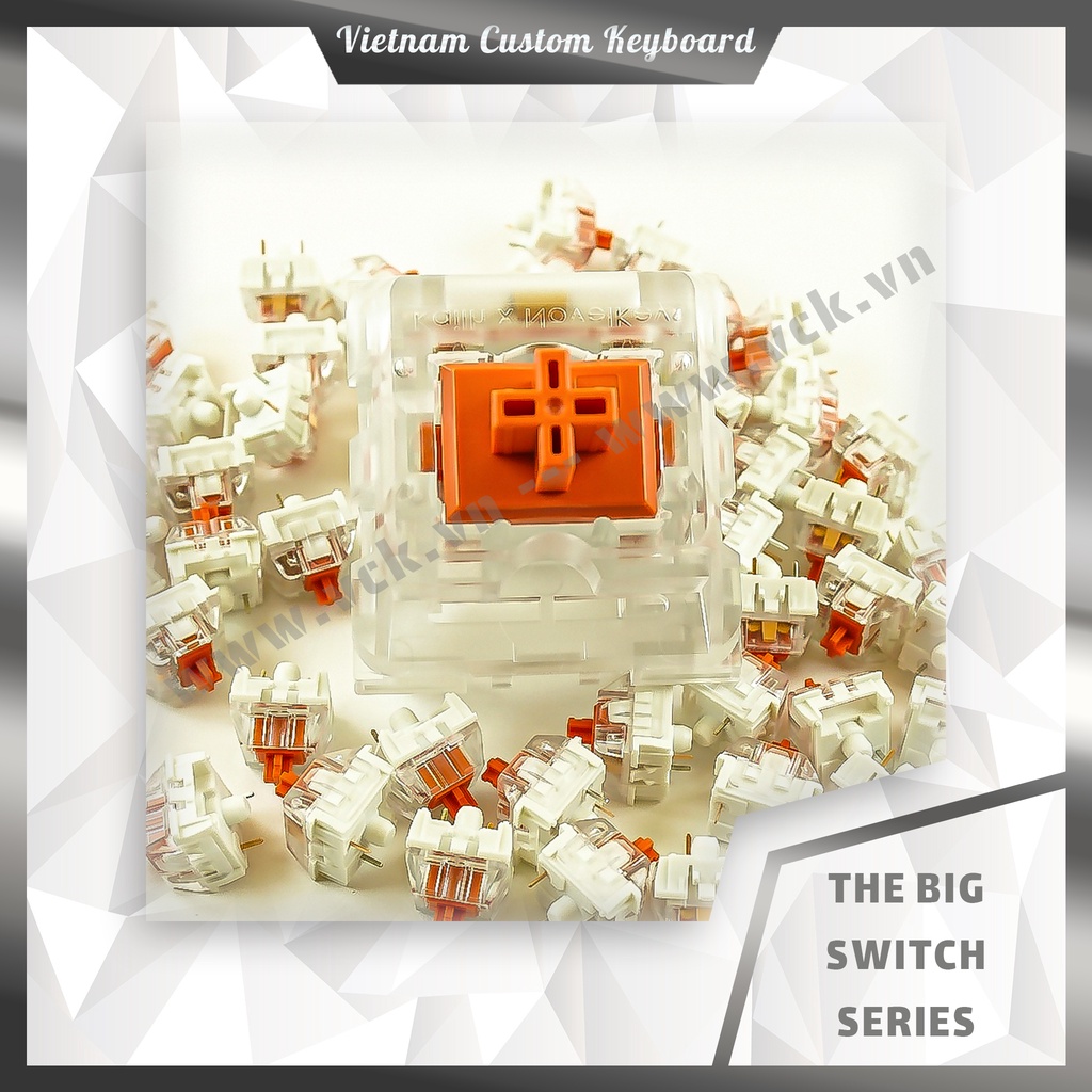 The Big Switch Series | Switch Bàn Phím Cơ Khổng Lồ | Lớn Gấp 64 Lần | Linear/Tactile/Clicky | Kailh X NovelKeys | VCK