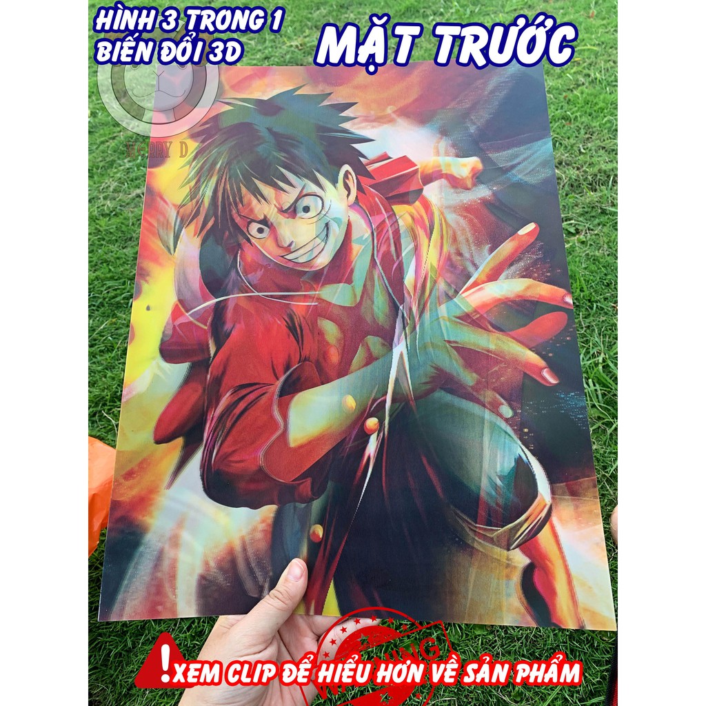 POSTER ĐỘNG 3 TRONG 1 3D 40x30cm ONEPICE - LUFFY, SANJI, ZORO - THAY ĐỔI GÓC NHÌN - BIẾN HÌNH