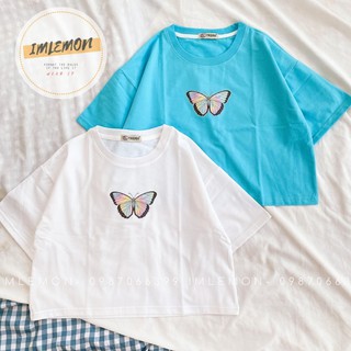 Áo Croptop nữ bướm nhiều màu