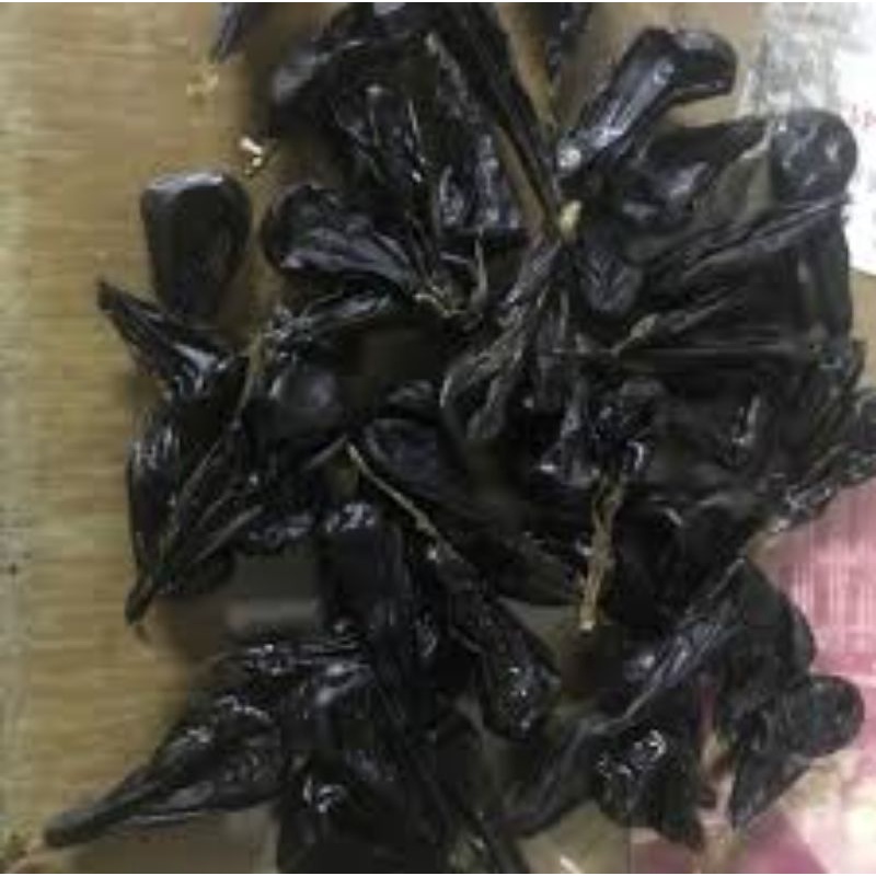 mật kỳ đà rừng