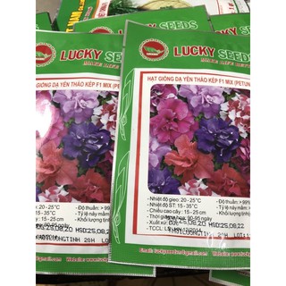Hạt giống Dạ Yến Thảo mix CH 🌷