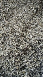 Chè dây
