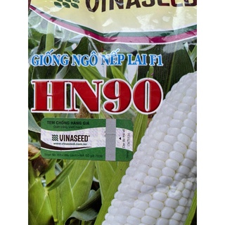 Hạt giống ngô nếp hn90 gói 500g