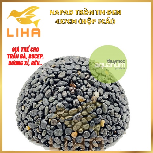 Napad Tròn TM Đen 4x7cm (Hộp 5cái) - Giá Thể Cho Trầu Bà, Bucep, Dương Xỉ, Rêu....Thủy Mộc
