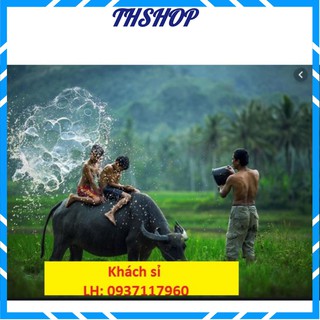 Combo 10 Kính Cường Lực Nhám Chống Vân Tay Cho Iphone