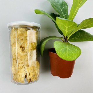 HỦ 250Gr KHÔ CÁ THIỀU CÁN MIẾNG