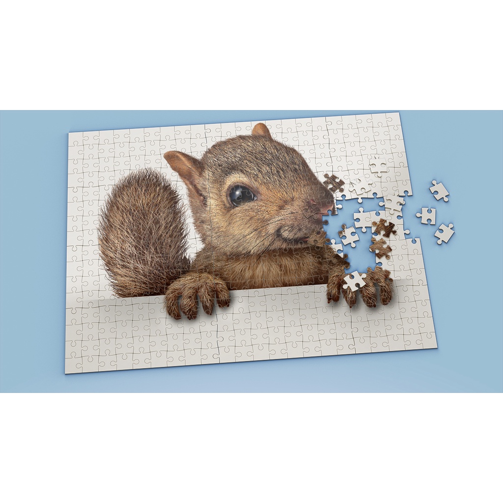 Tranh ghép hình Animal - Tranh ghép hình SQUIRREL - Mẫu 7 - Nhận in hình tranh ghép theo yêu cầu